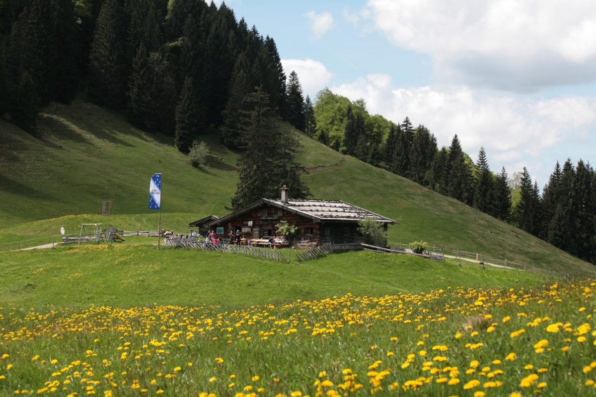 Blick auf Alpe Gschwenderberg