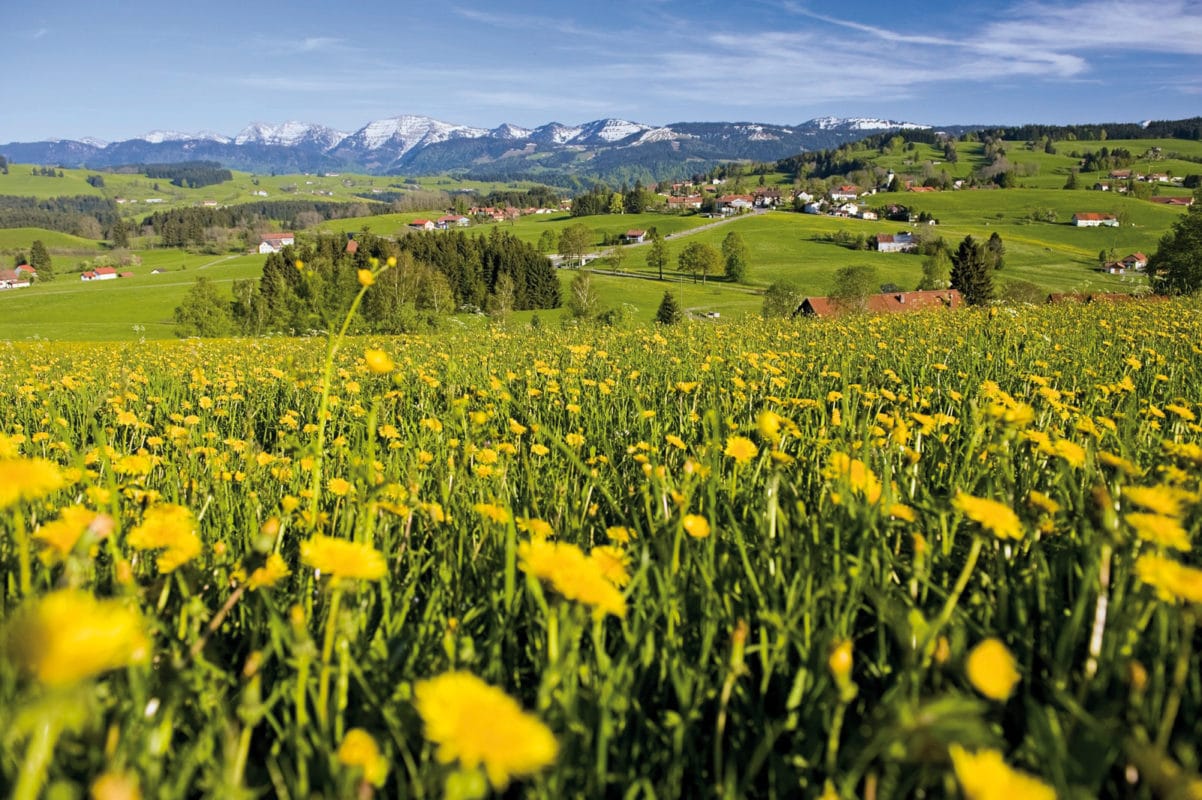 Blick auf Oberreute