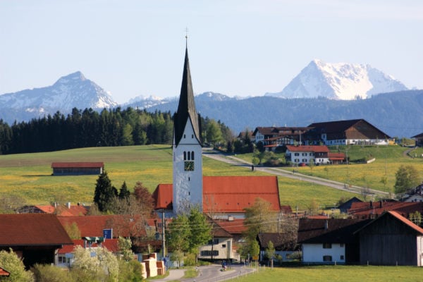 Blick auf Wald