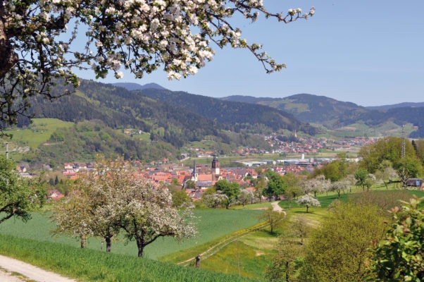 Haslach im Kinzigtal Panoramabild