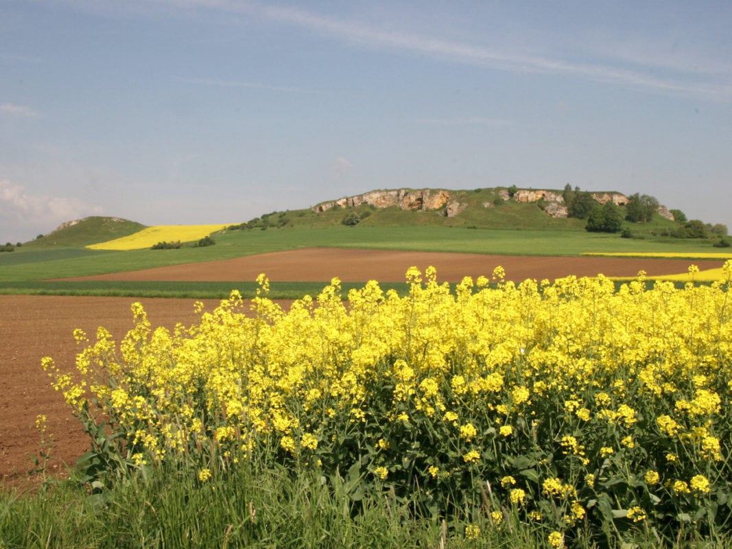 Goldberg (Riesbürg)