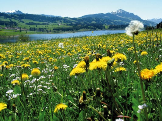 Sulzberg Rottachsee