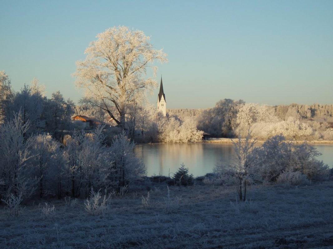 Wald Kirchturm Winter